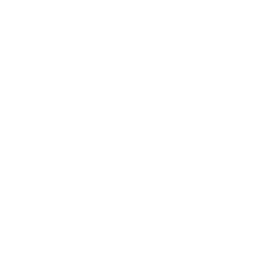 Discreet Group